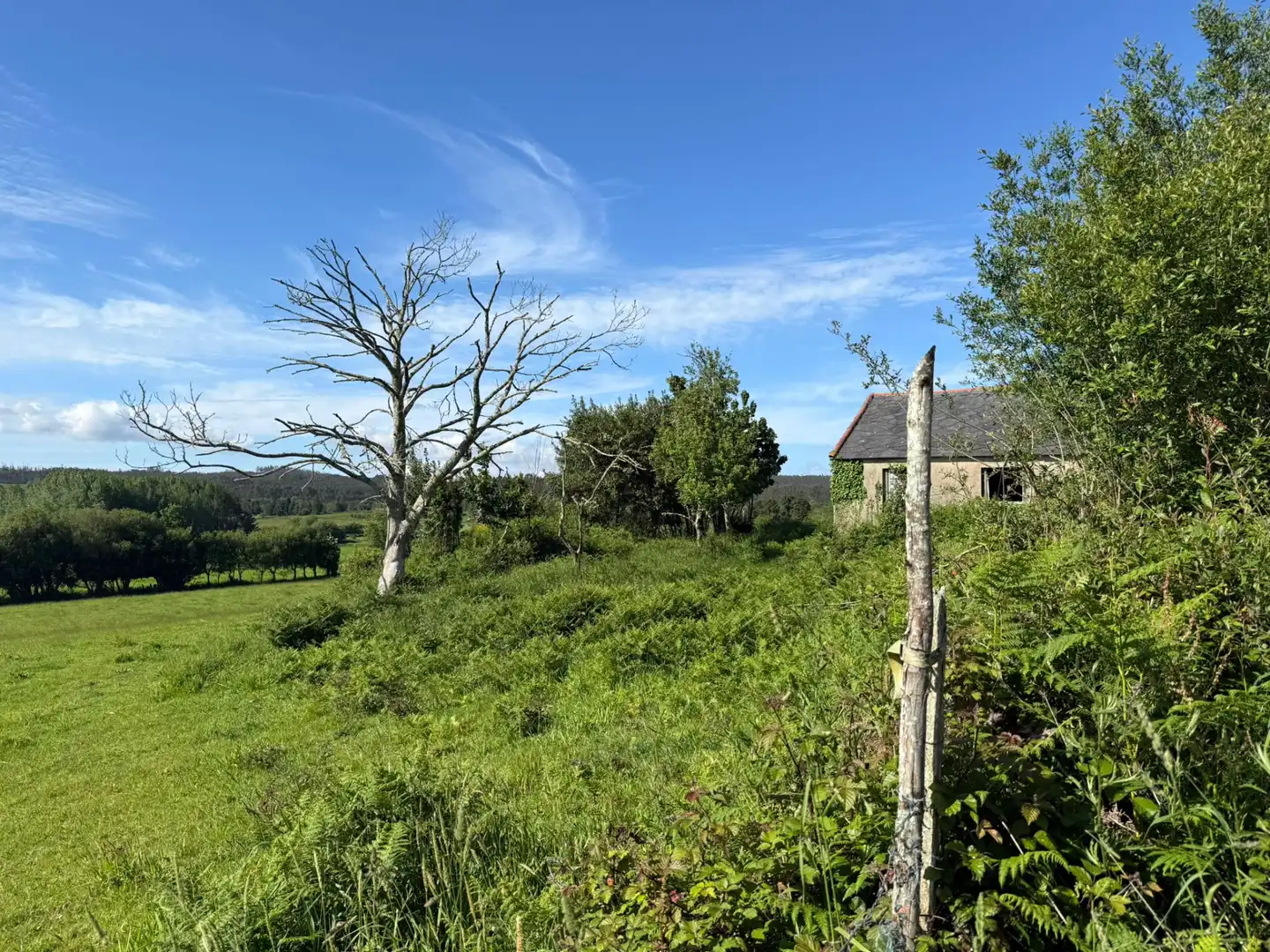 Residencial en venda en Moeche