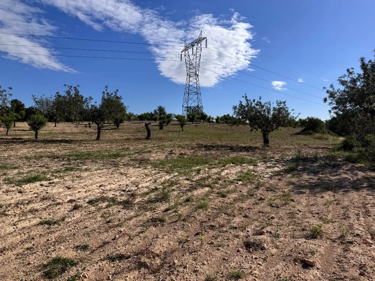 Land for sale in Polígono 26 Parcela 21 CASA BLANCA-BARBETA. TORRE, 26, Poligono Mas del Jutge