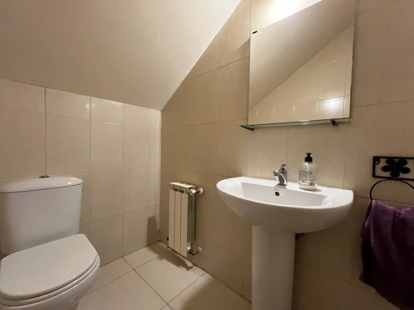 Baño de Casa o chalet en venta en Seseña con Calefacción, Jardín privado y Terraza