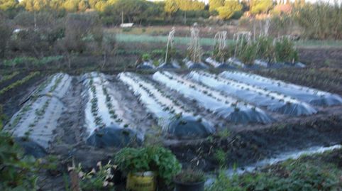 Finca Rúst. en venta en El Soto., imatge 3