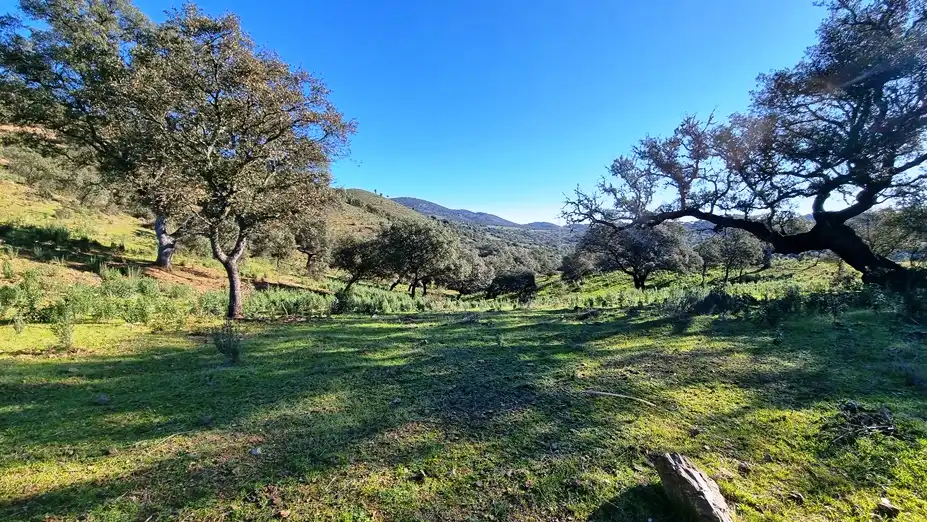 Terreni e lotti in vendita a Zufre, imagen 45
