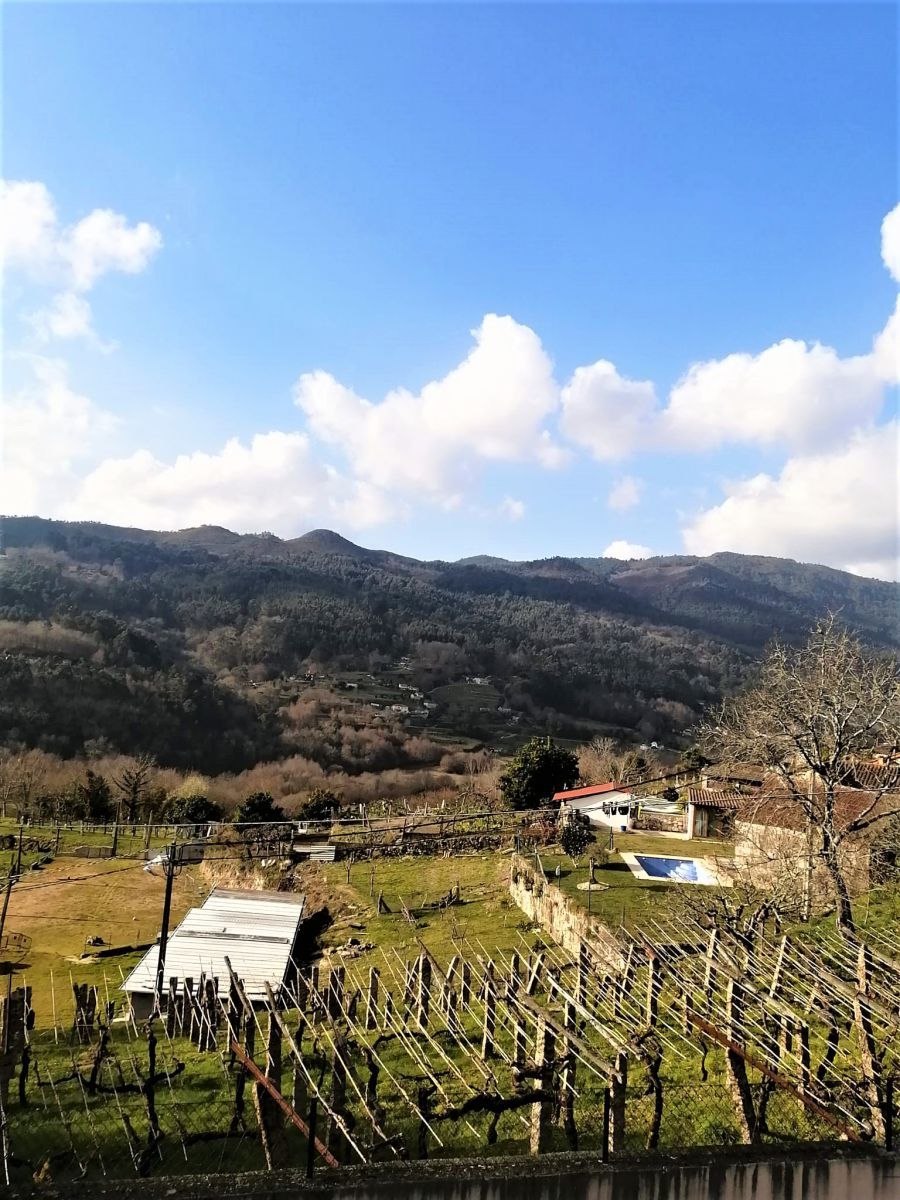 Außenansicht von Residential zum verkauf in Rodeiro