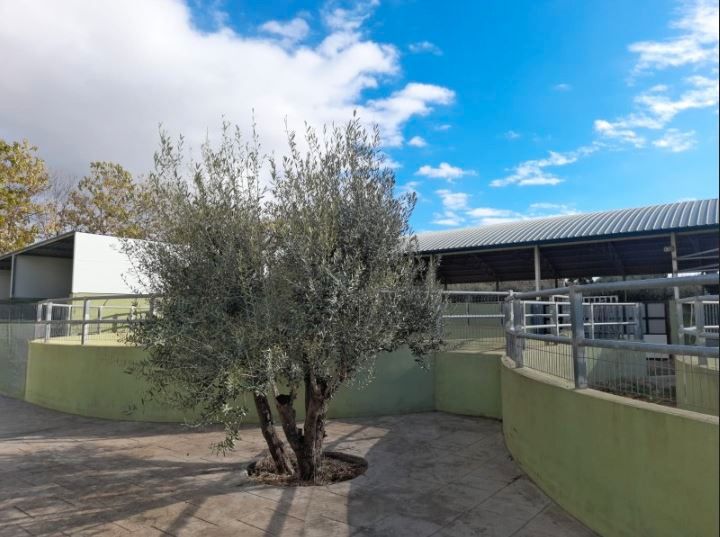 Vista exterior de Finca rústica en venda en Godelleta