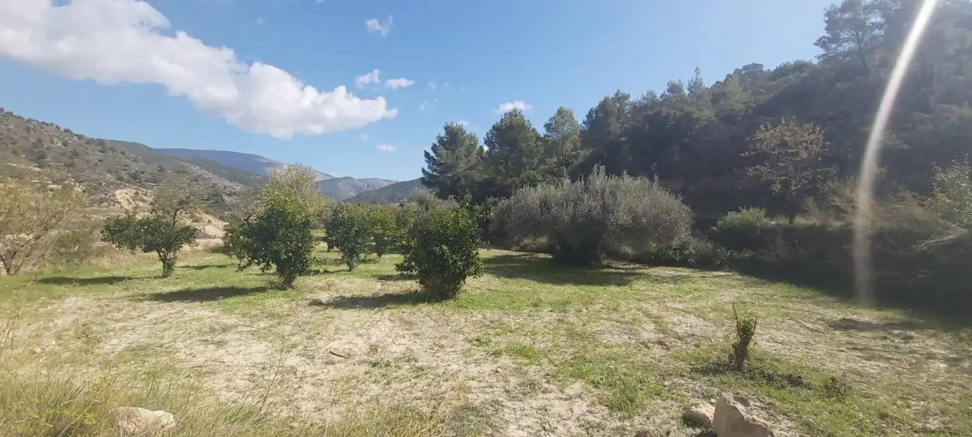 Terrenys i solars en venda a Relleu