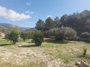 Terrenos y solares en venta en Relleu