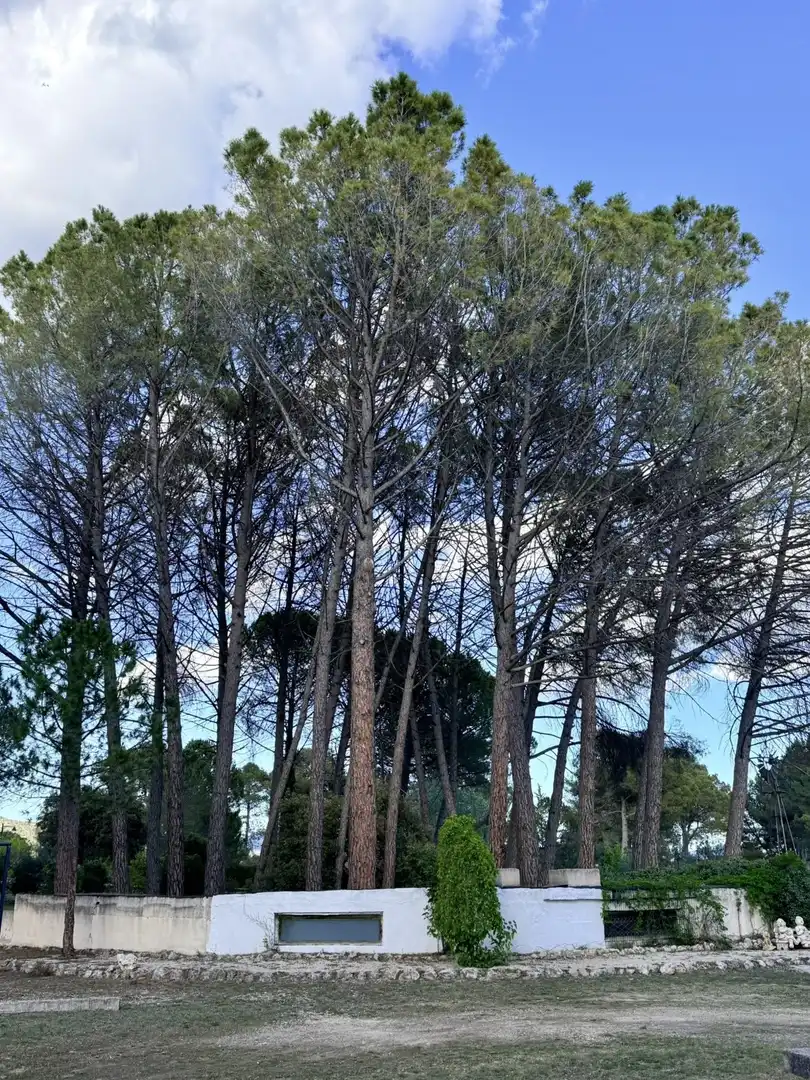 Haus mit Pool zum Verkauf in Batoi, imagen 16