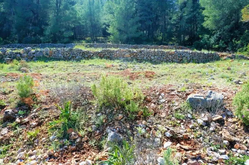 Terreny residencial en venda a Callosa d'en Sarrià, imagen 35