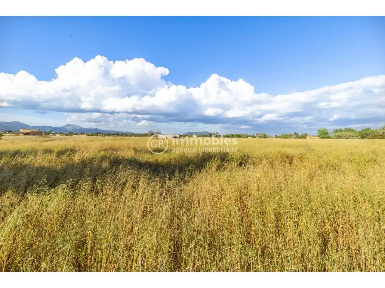 Terreno rustico in vendita a Calle major, imagen 2