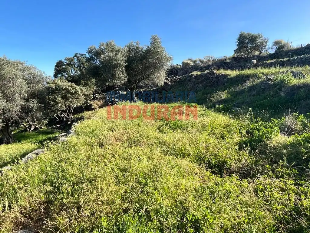 Finca rústica en venta en Navalmoral de la Mata
