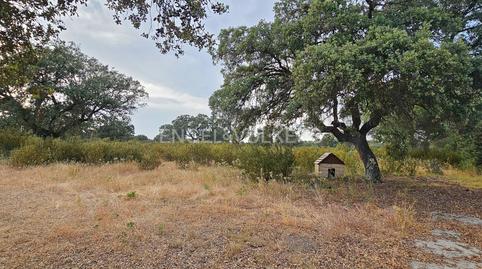 Foto 5 de Residencial en venta en Raya del Palancar - Guadamonte, Madrid