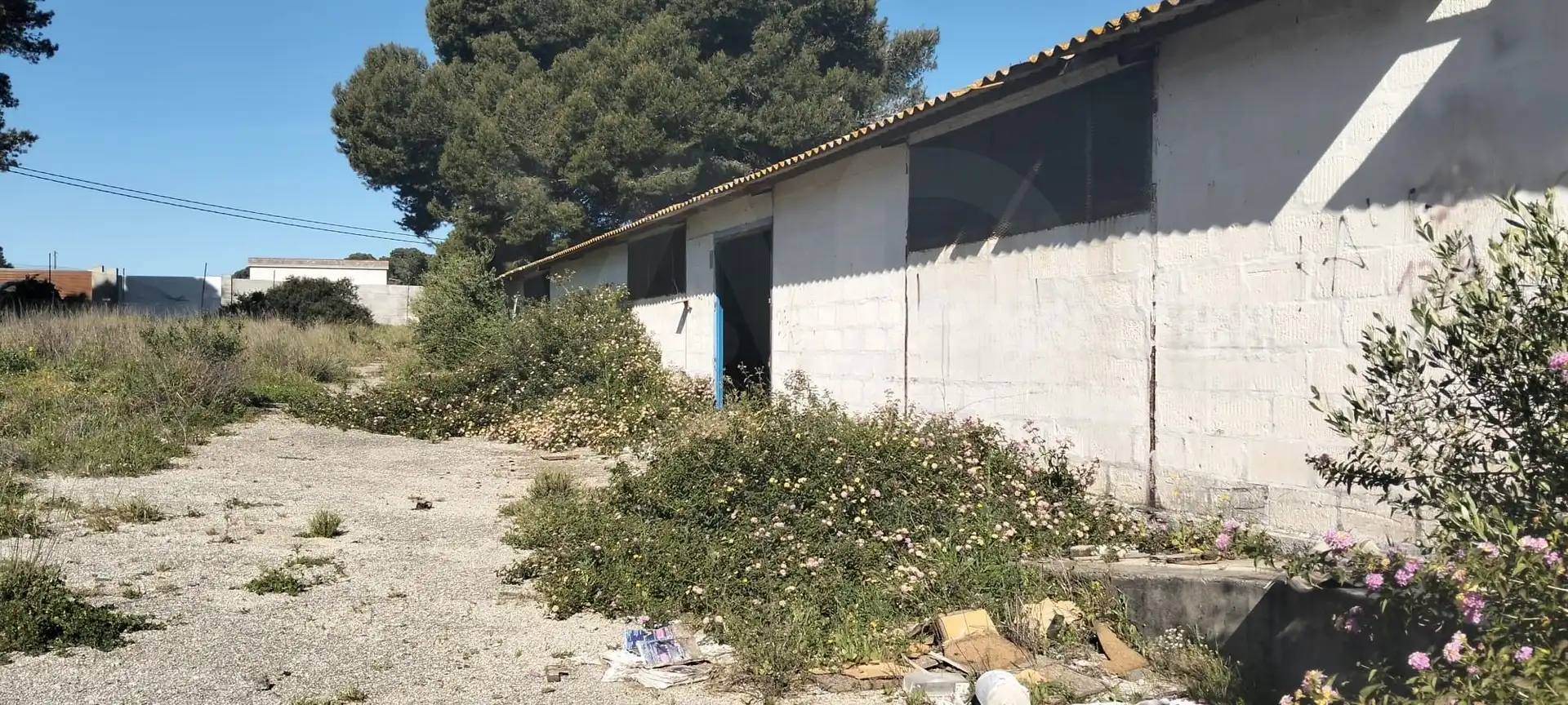 Terreni e lotti in vendita a Los Franceses – La Vega, imagen 7