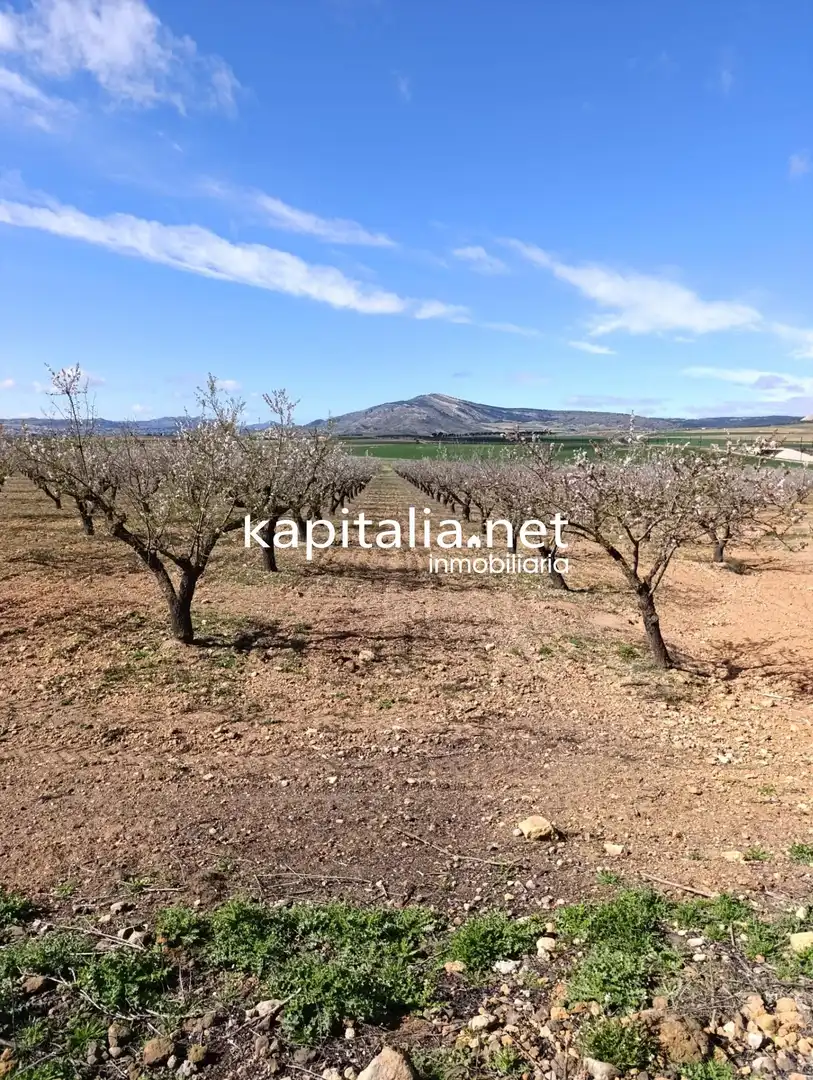 Rural land for sale in Las Cruces, imagen 5