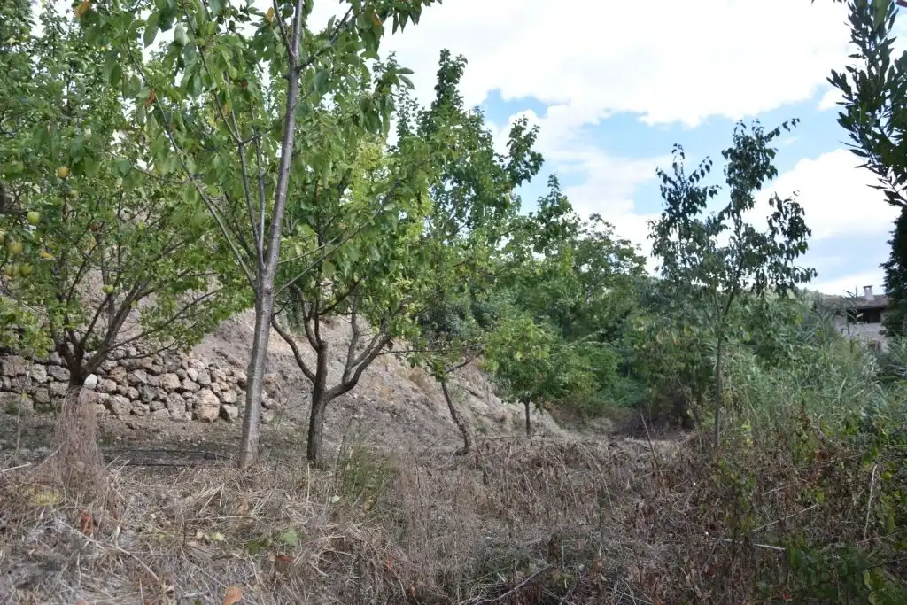 Terreni e lotti in vendita a Beceite, imagen 8