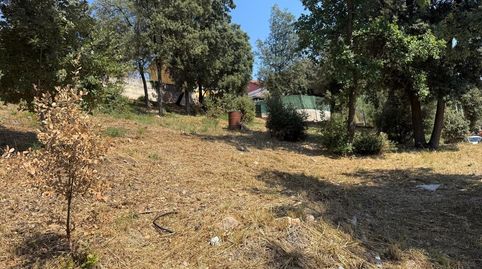 TERRENO URBANO EN VENTA EN CAN CAYAMERES, SENTMENAT  OPORTUNIDAD ÚNICA, imatge 3