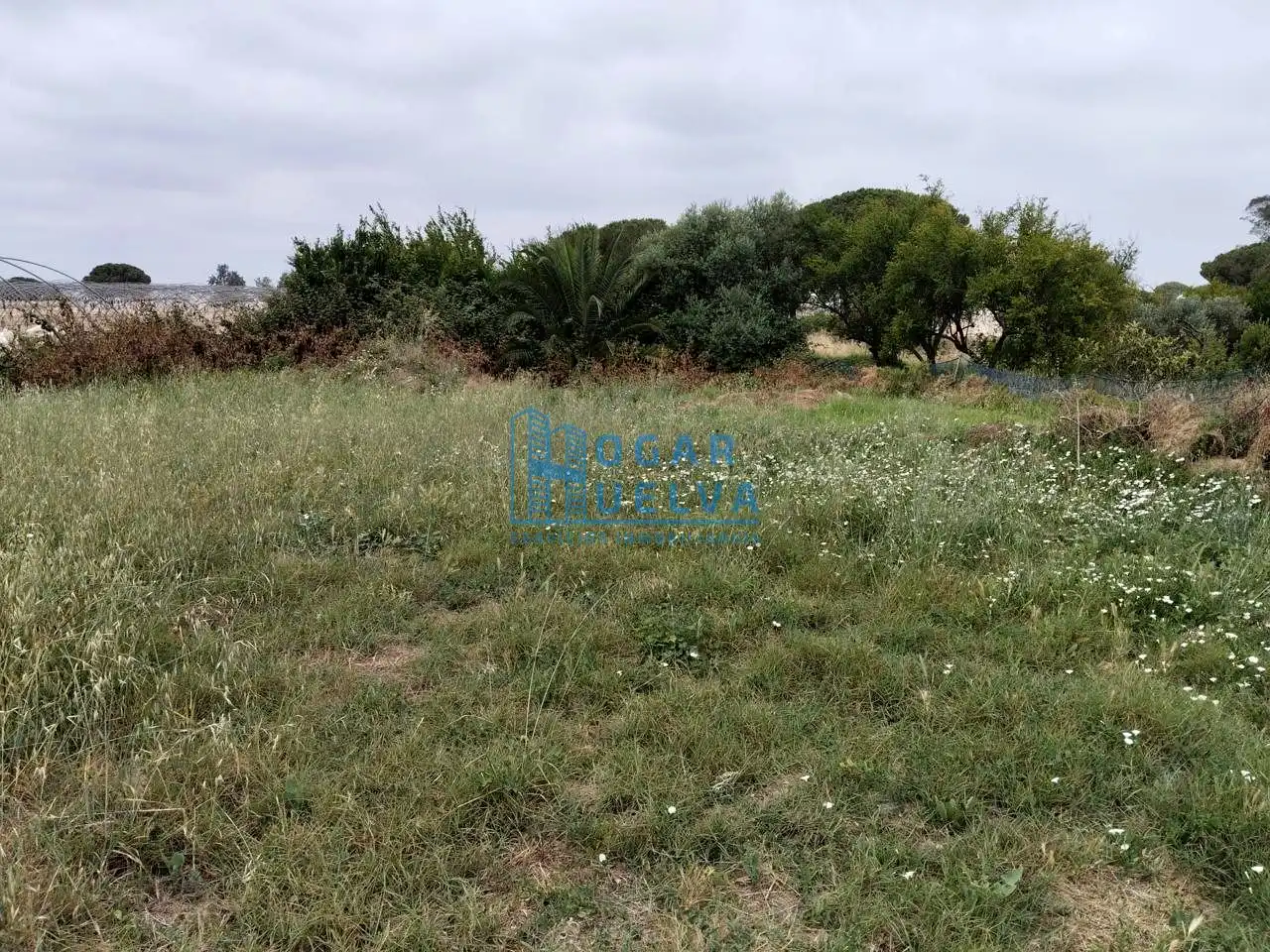 Houses for sale in Bonares  with Terrace