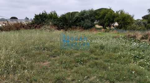 Photo 4 of Houses for sale in Huerta Hambre, Bonares, Huelva