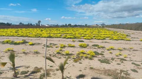 Terreno residencial en Venta en La Foia - Daimés - Asprella