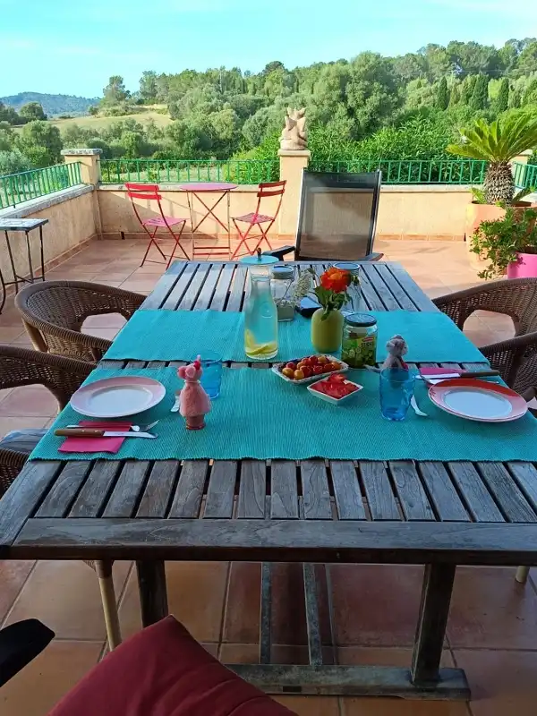 Terrassa de Casa o xalet en venda en Porreres amb Calefacció, Jardí privat i Terrassa