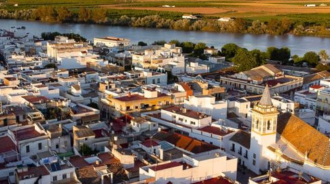 Foto 5 de Casa adosada en venta en Cl Virgen de la Salud, Coria del Río, Sevilla