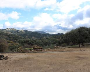 Vista exterior de Casa o xalet en venda en Montejaque amb Piscina