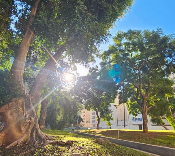 Foto 1 de Pis en venda a El Juncal - Vallealto, Cádiz