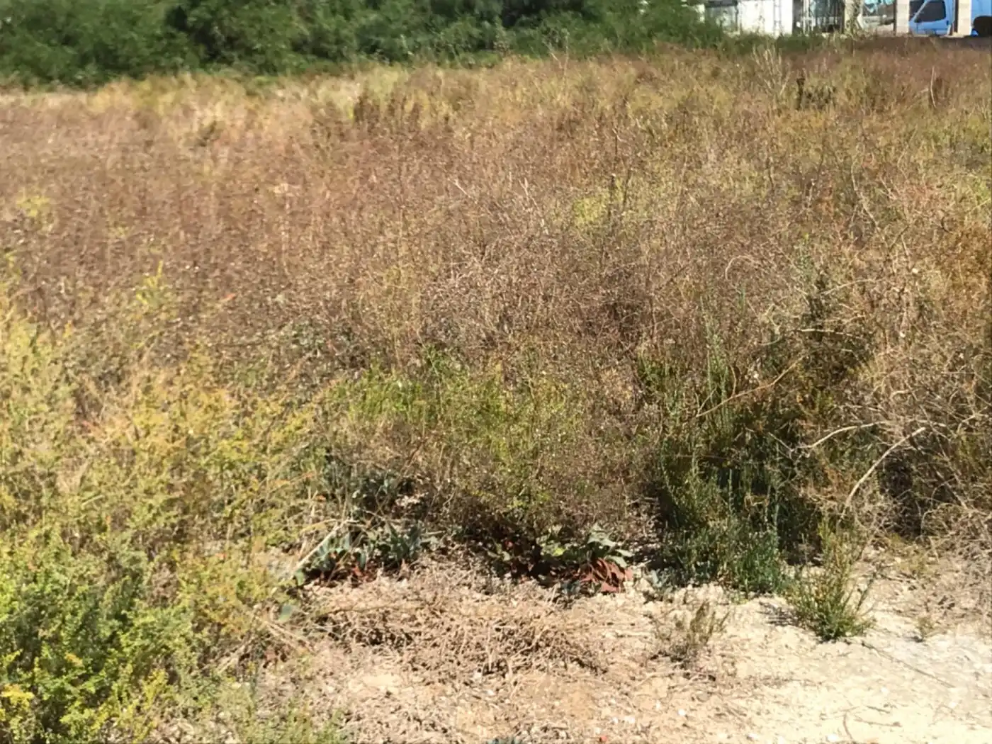 Terreno residencial en venta en La Foia - Daimés - Asprella, imagen 8