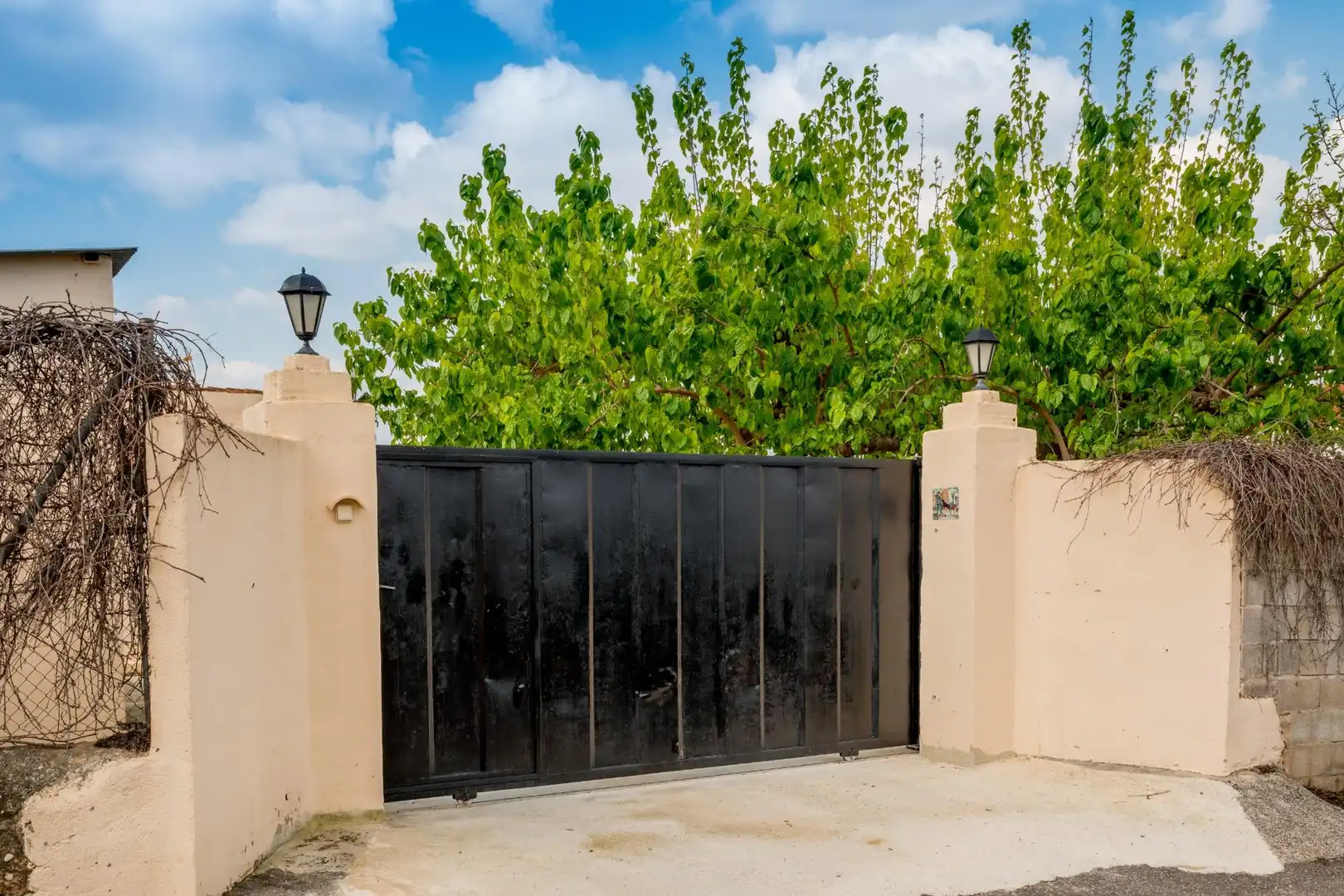 Vista exterior de Casa o chalet en venta en Canals