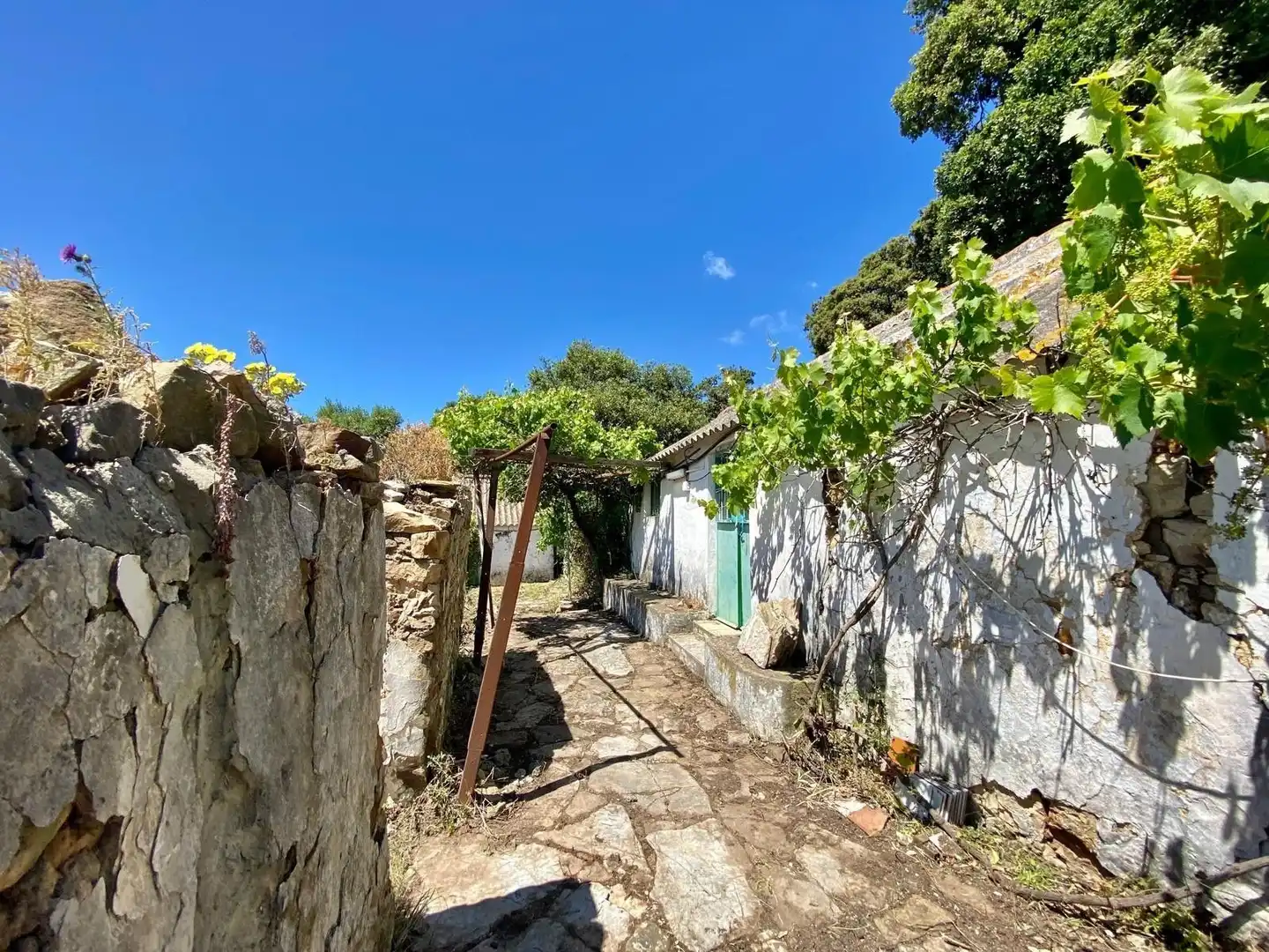 Finca rústica en venda a Tarifa ciudad