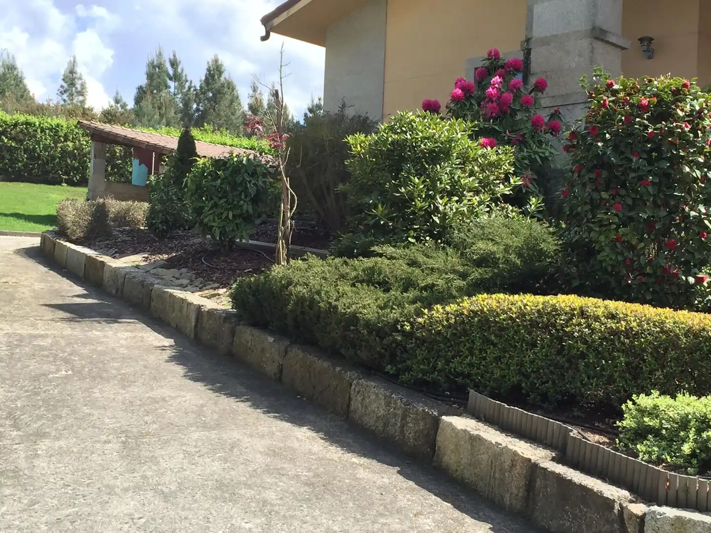 Casa con piscina in vendita a O Pereiro de Aguiar, imagen 19