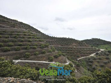 Terrain résidentiel à vendre à Almuñecar centro