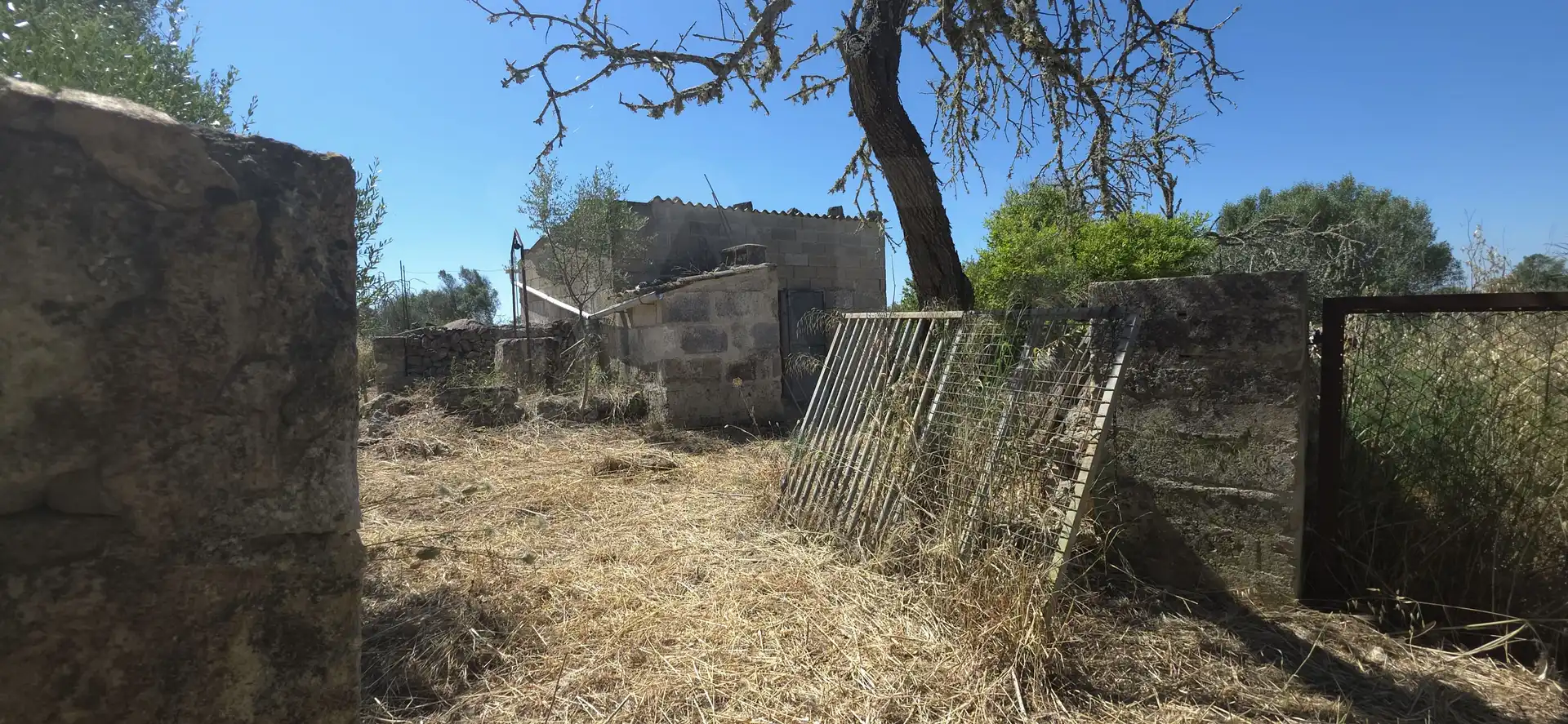 Rustikales Grundstück zum Verkauf in Santa Margalida Poble, imagen 19