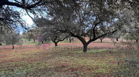 Foto 5 de Casa o xalet en venda a Calle Cuesta de Artesanos, Valdesalor - Rincón de Ballesteros, Cáceres Capital
