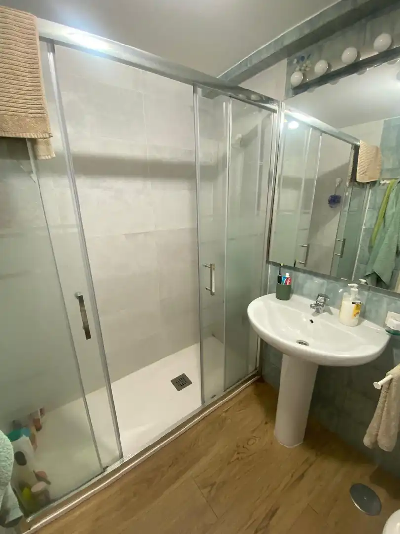 Bathroom of Flat for rent in Madrid  with Air Conditioner, Heating and Private garden