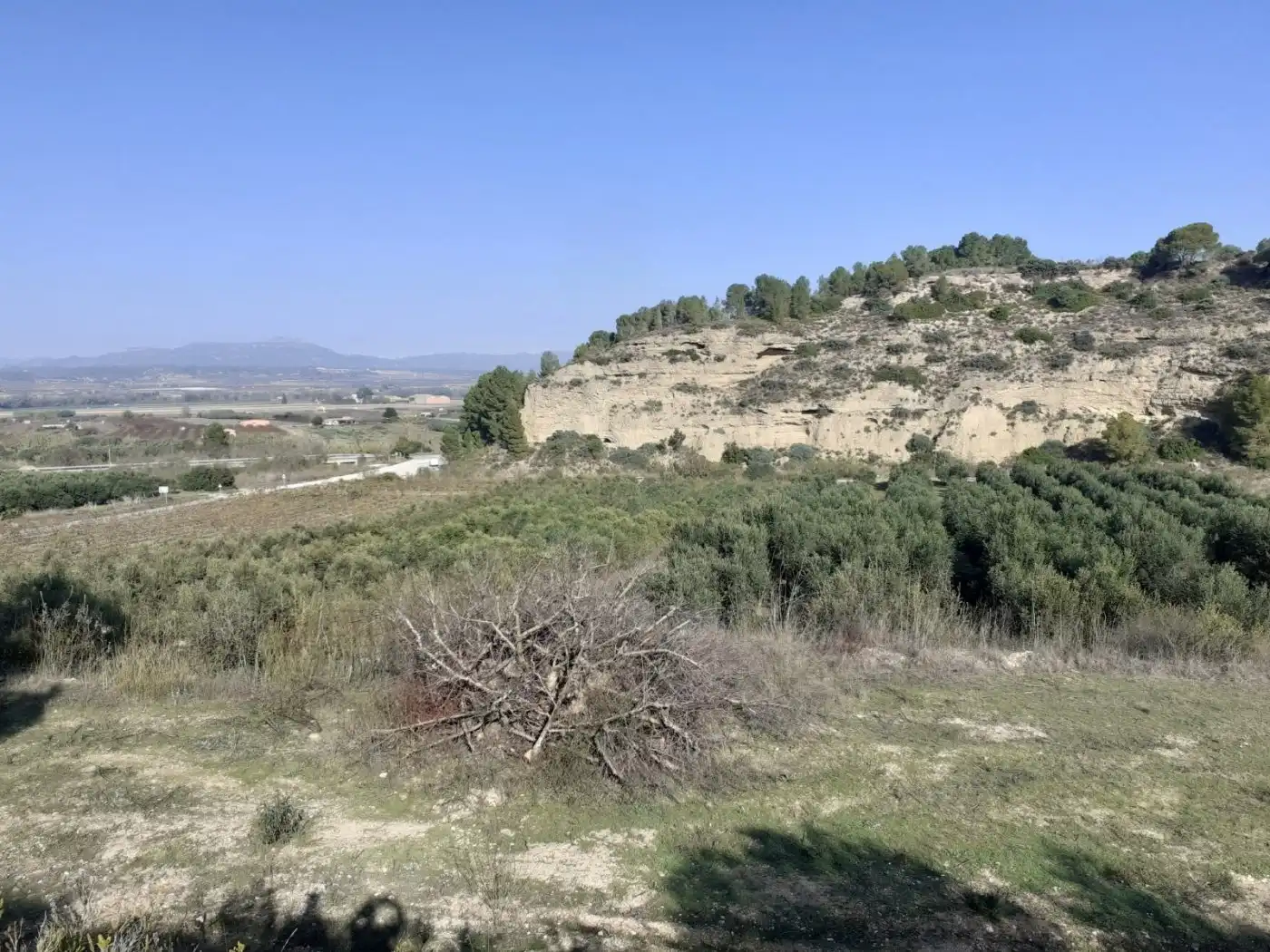 Finca rústica en venda en Ginestar