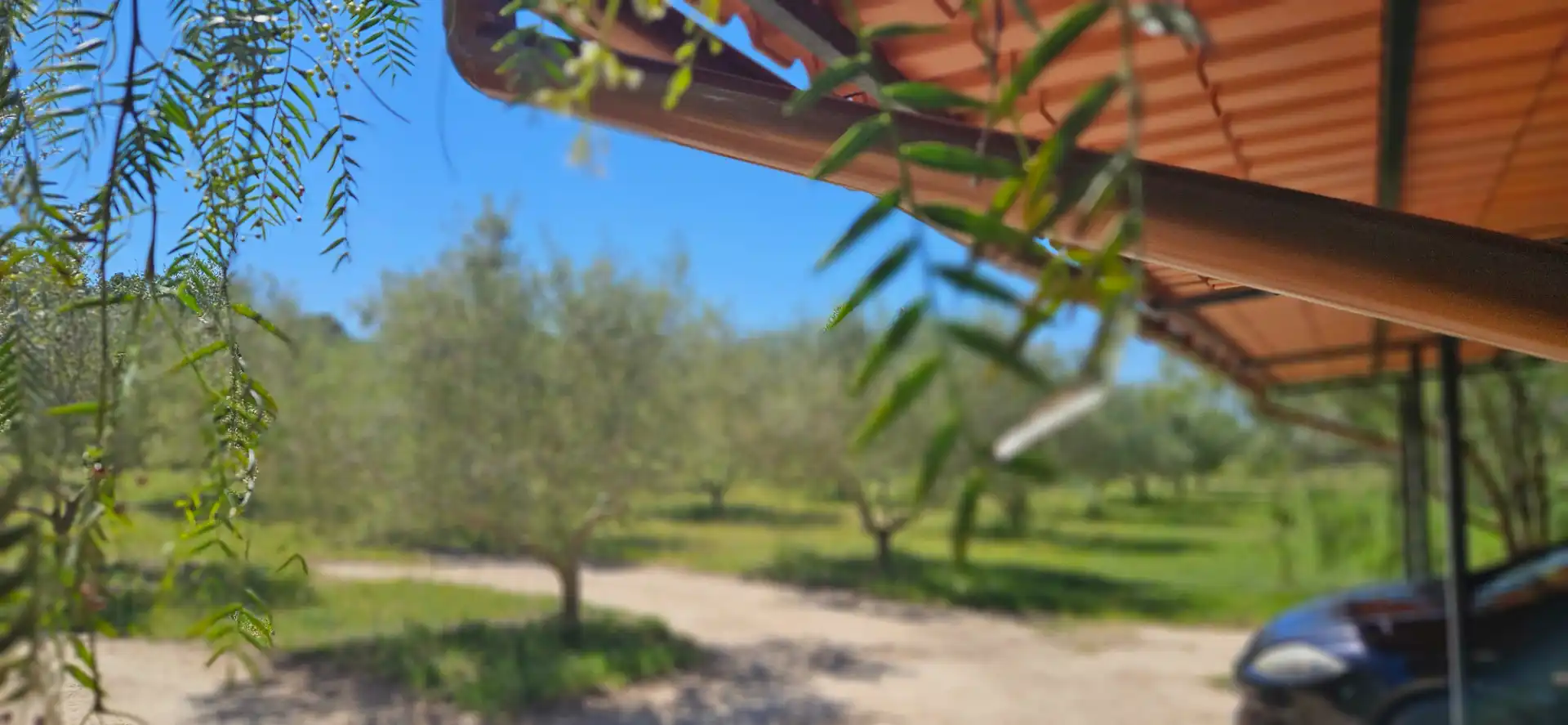 Garden of Country homes for sale in El Catllar   with Air Conditioner, Heating and Private garden