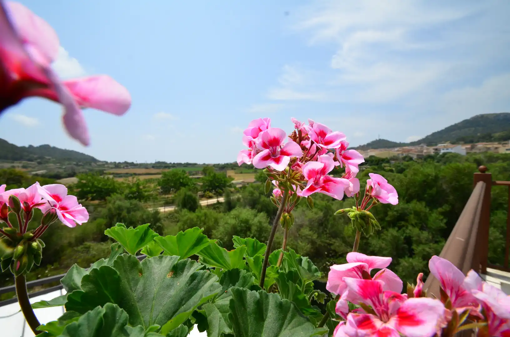 Casa con giardino in vendita a Son Servera Poble, imagen 31