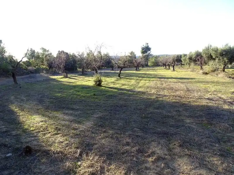 Casa rústica en venda a Torre del Compte, imagen 19