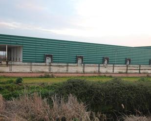 Exterior view of Industrial buildings for sale in Valdelacalzada