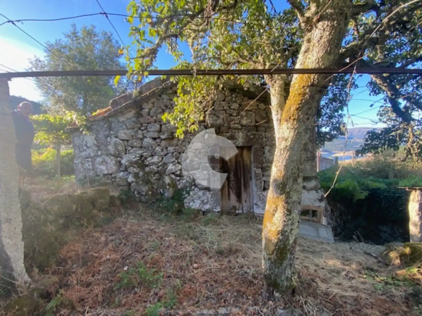 Casa amb jardí en venda a Entrimo, imagen 4