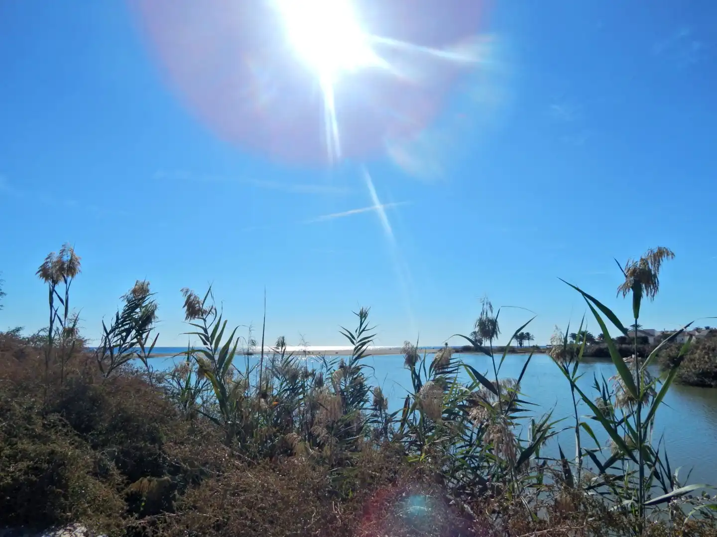Lands and plots for sale in Vera Ciudad, imagen 14