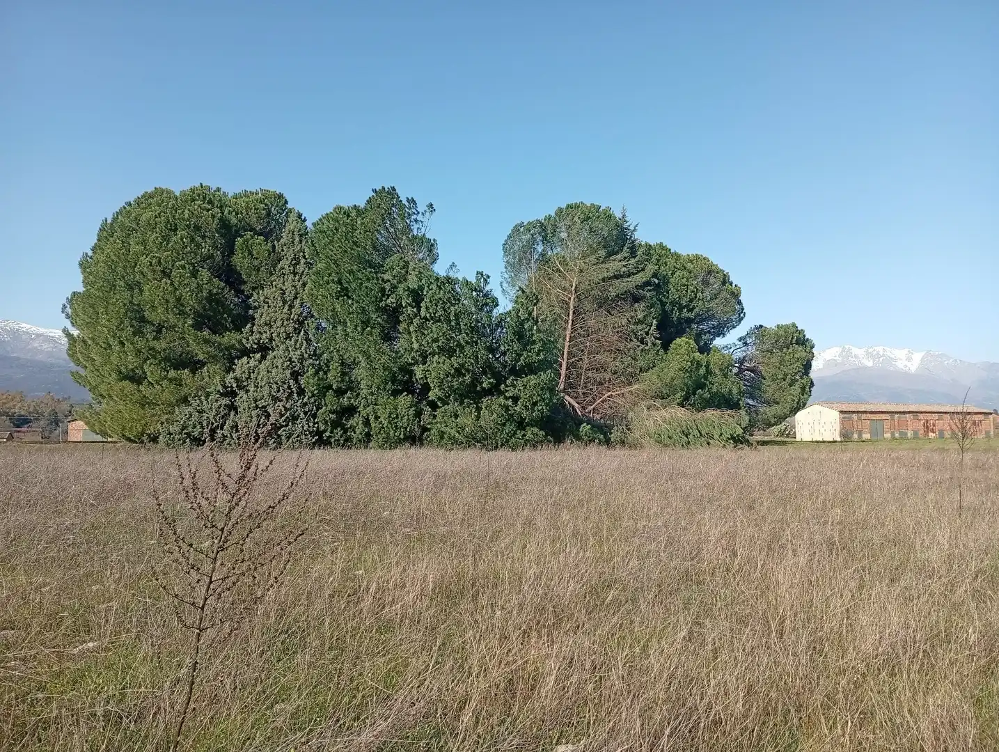 Terreni e lotti in vendita a Villanueva de la Vera, imagen 10