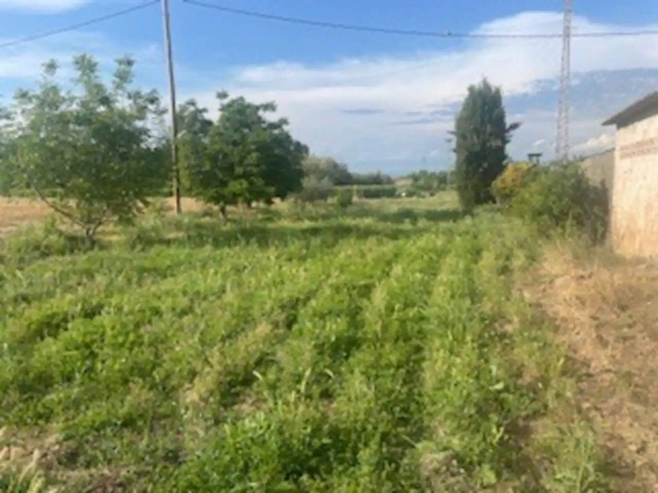 Casa o xalet en venda en Lleida amb Calefacció, Jardí privat i Piscina