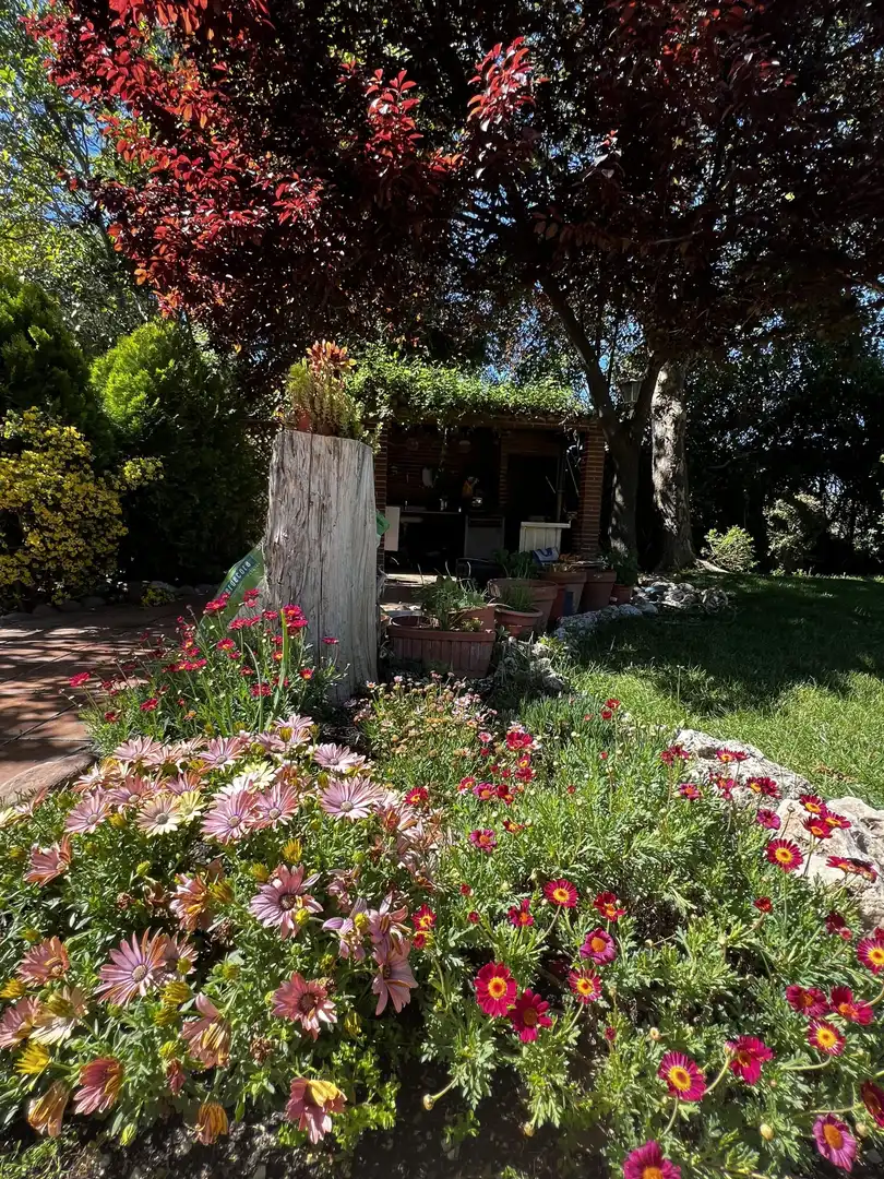 Jardí de Casa o xalet en venda en Boadilla del Monte amb Aire condicionat, Jardí privat i Traster