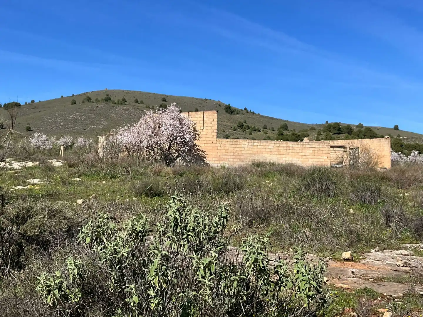 Terreni e lotti in vendita a El marchal, El valle, imagen 38