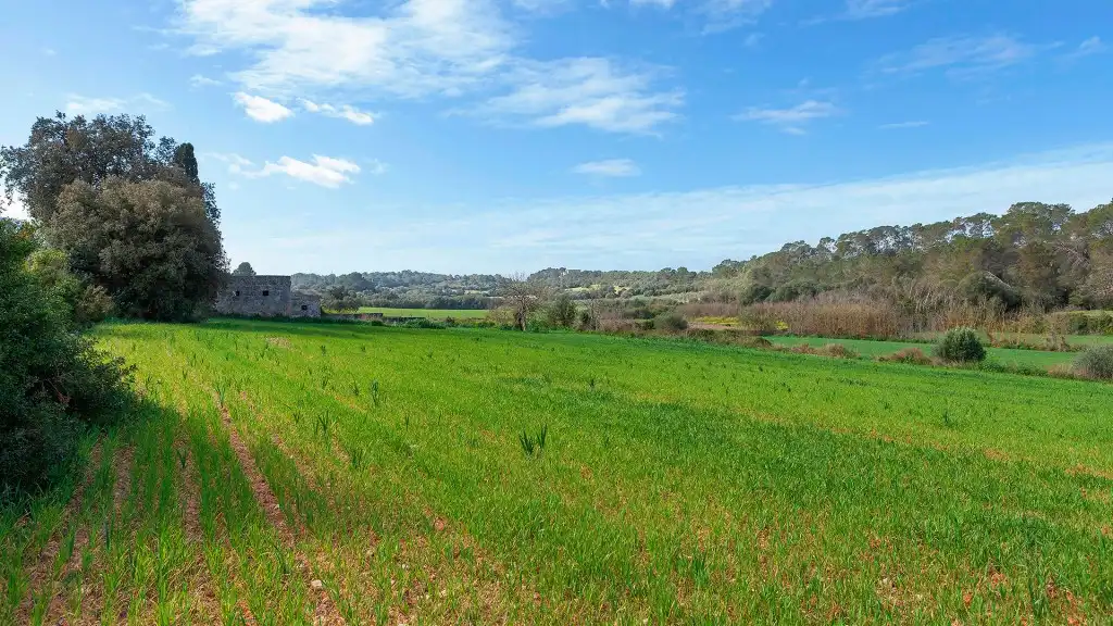 Rural land for sale in Muro, imagen 7