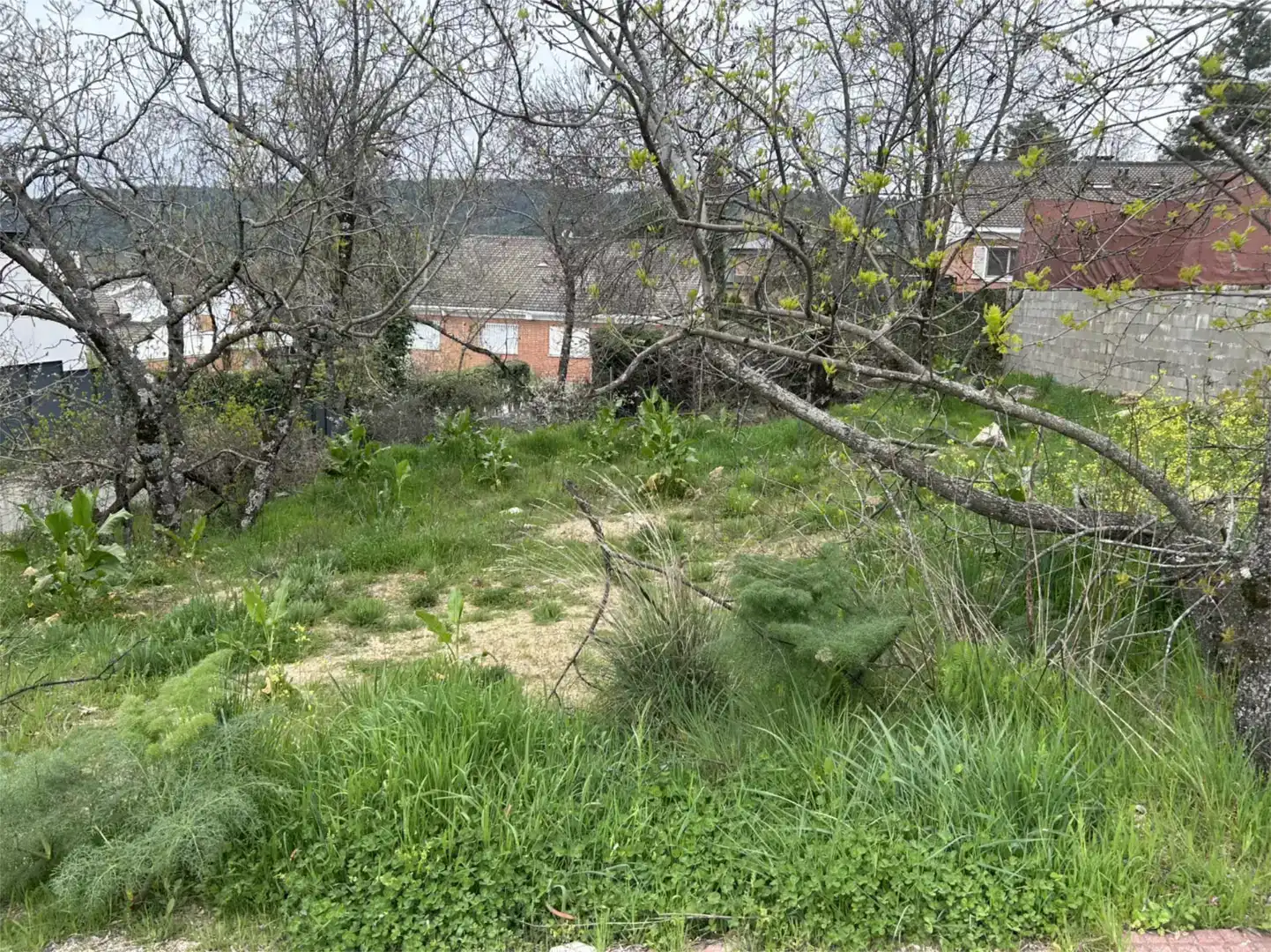 Grundstücke zum Verkauf in Becerril de la Sierra
