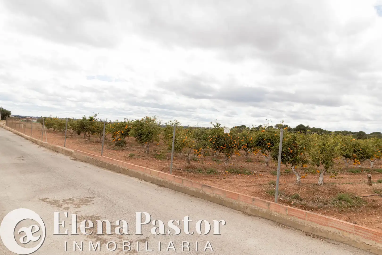 Terrain rustique à vendre à Los Pinares - La Masia, imagen 3