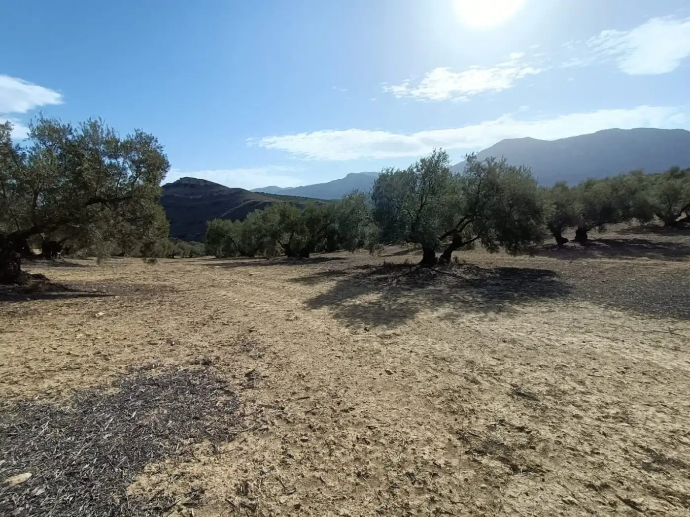 Terreni e lotti in vendita a Bobadilla - Bobadilla Estación - La Joya, imagen 8