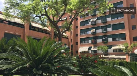 Piso de 3 habitaciones en alquiler en Aiora, Valencia., image 5