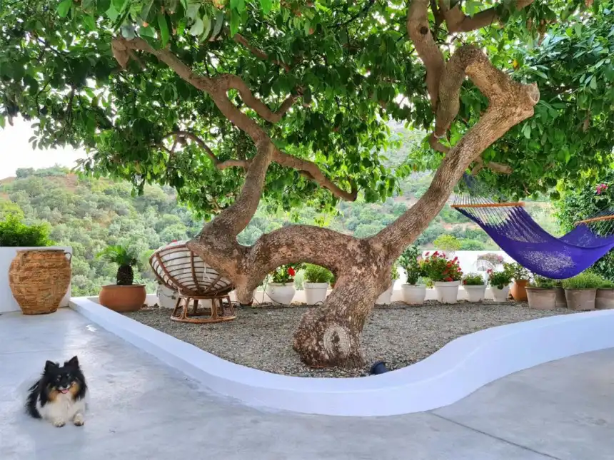 Terraza de Casa adosada de alquiler en Ojén con Aire acondicionado, Jardín privado y Terraza